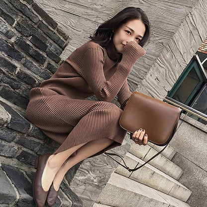 Long Coarse Wool Turtleneck Sweater Dress Women  Female Casual Loose Knit Straight Sweater Dress