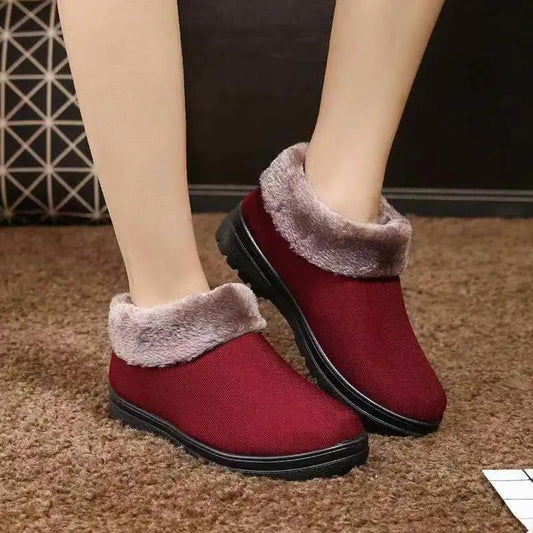Women's Autumn and Winter Cloth Shoes Fleece Warm Cotton Shoes Thick Sole Mother Shoes
