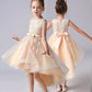 Girls Dress Princess Dress Tail Tutu Dress Spring and Summer Little Girl Catwalk Piano Host Performance Costume
