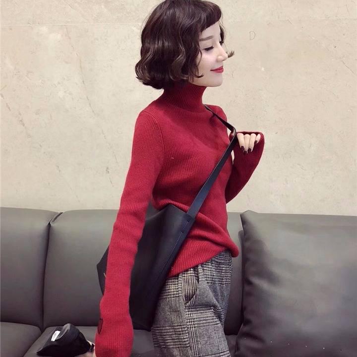 Women Embroidery Turtleneck Knitted Bottoming Shirt Slim Was Thin Wild Sweater Solid Color