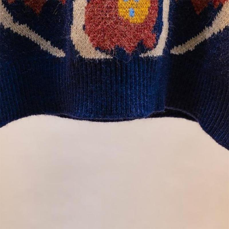 Women Wear Vests In Spring and Autumn Knitted Vest Vest Korean Style Sweater