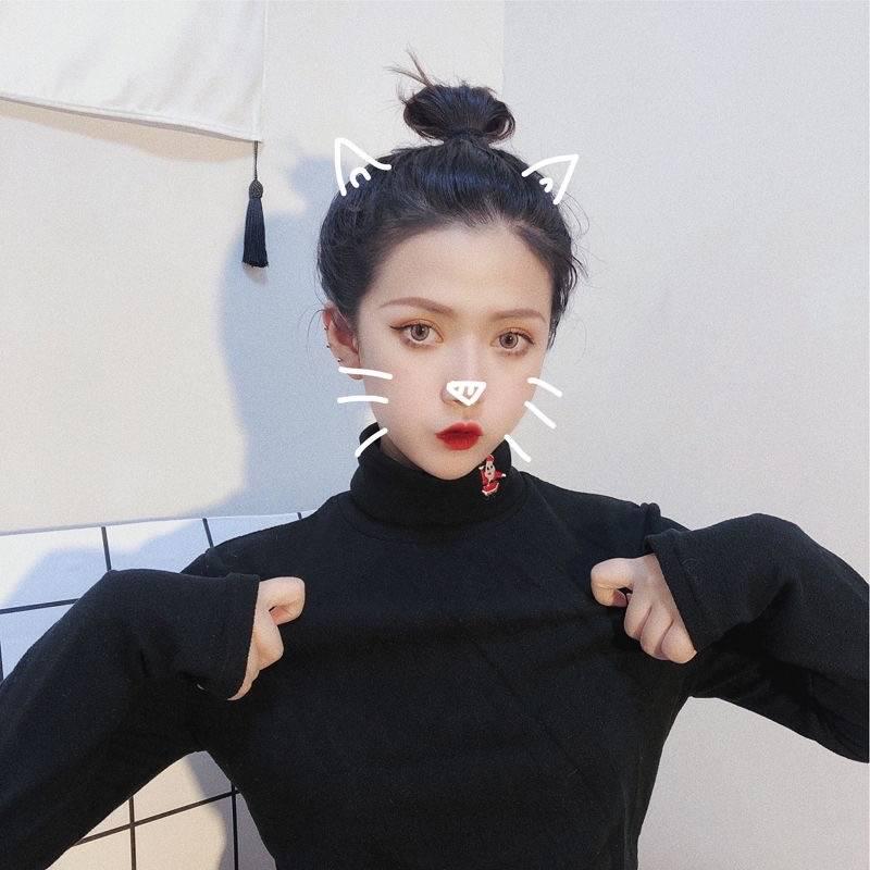Warm Sweater  Soft Girl Style Multi Style Fleece Turtleneck Bottoming Shirt Long Slim