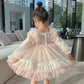 Girls Embroidery Dress Children's Cute Puff Skirt Mesh Princess Dress Baby Girl Spring Dress Long Sleeve Lace Pink Dress