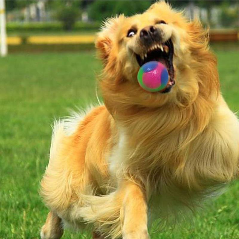 Pet Toy Luminous Ball Elastic Bite Resistant Cat and Dog Teddy Golden Retriever Toy Ball Dog Training Tool Spherical Toy Outdoor Play Fun Chewing Toys