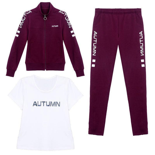 Spring and Autumn Women 3pcs set Wild Long Sleeve Casual Sweatshirt Set Large Size