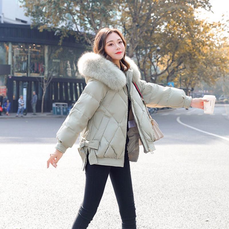 Women's Solid Color Down Jacket Regular Korean Loose Thick Coat Warm Cotton Coat Big Fur Collar Winter Clothes Quilted Coat