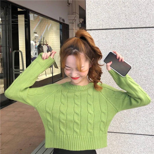 Female Fall Winter Pullover Plus Size Long Sleeve O-neck Loose Twist Weaving Print Office Sweater