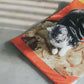 Potato Chips Bag Cat Bed House Cat Bed Pet Cat Hammock Pets Dog Bed Cats Dog