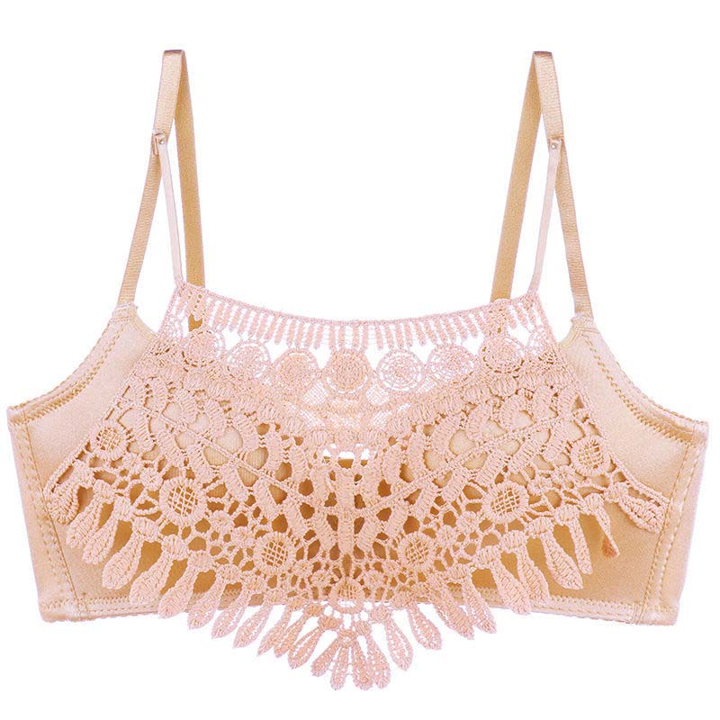 Sexy Embroidered Underwear Women's No Steel Ring Chest Small Thickening Gather Bra Women's Upper Support Anti-sagging Bra Single Piece