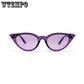 WTEMPO Cat ear glasses sunglasses ladies small box retro popular glasses