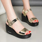 Women's Wedge Sandals Summer Fish Mouth Shoes Thick Sole Non-Slip Platform Lightweight Sandals Metal Fabric All Match Sandals