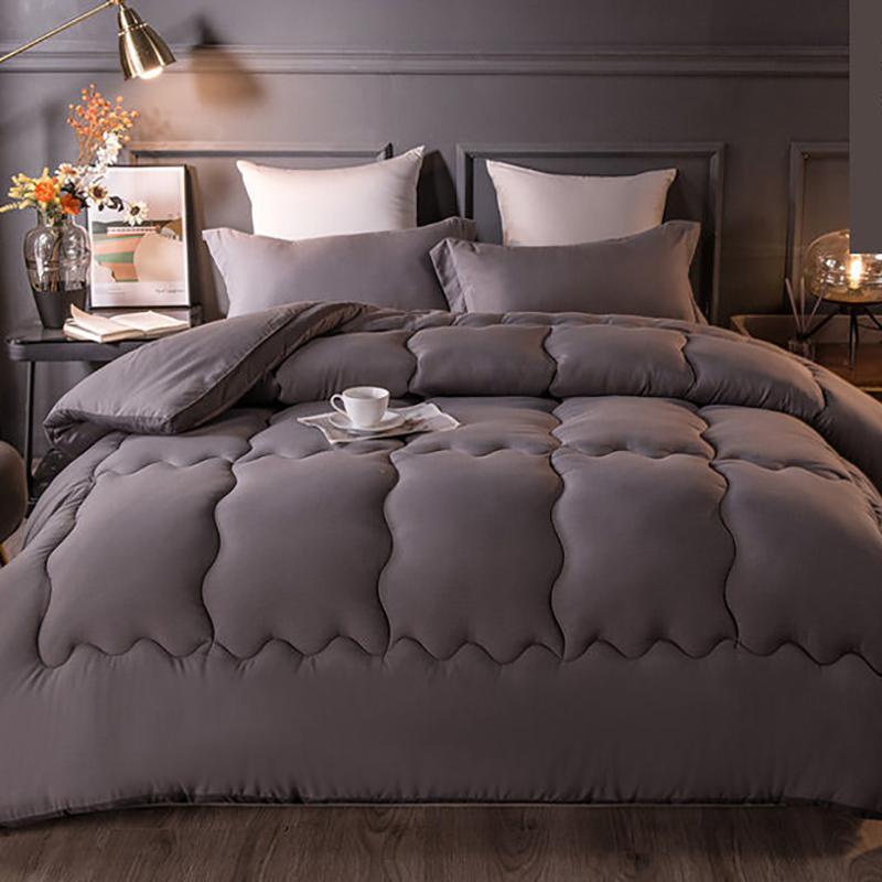 Student Dormitory Winter Quilt Spring and Autumn Quilt Core Four Seasons Universal Household Quilt Air-conditioning Quilt