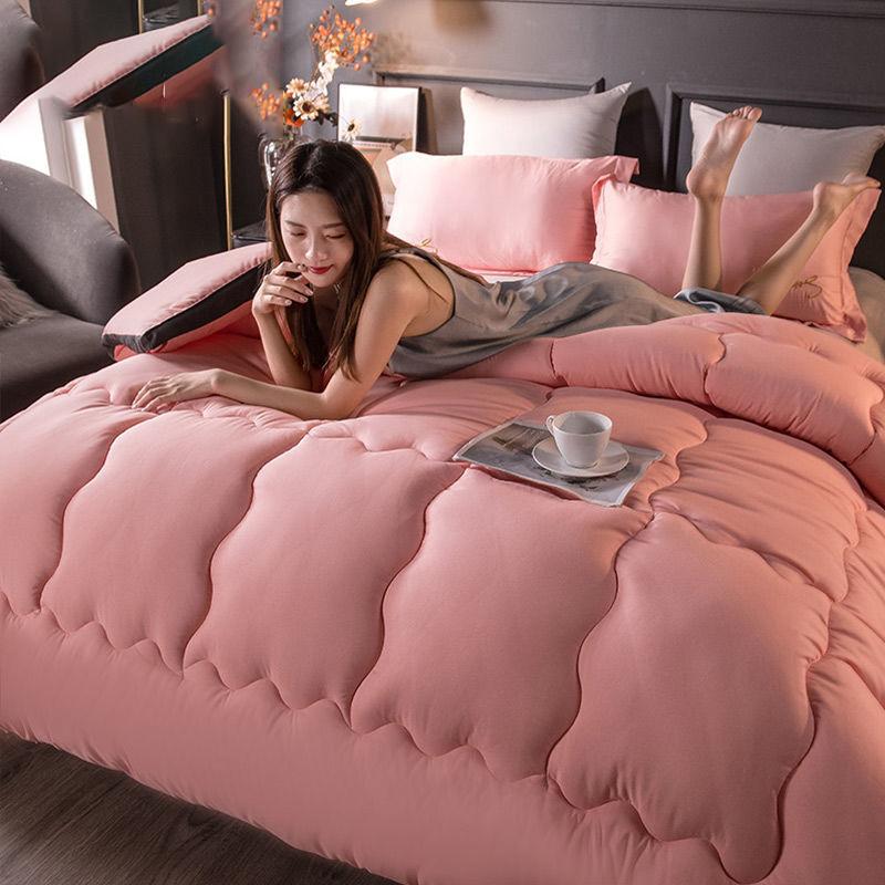 Student Dormitory Winter Quilt Spring and Autumn Quilt Core Four Seasons Universal Household Quilt Air-conditioning Quilt