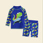 Children's Swimsuit Boy Cartoon Printing Separate Swimwear Boy Middle-aged Long-sleeved Swimming Trunks Quick-drying Bathing Suit