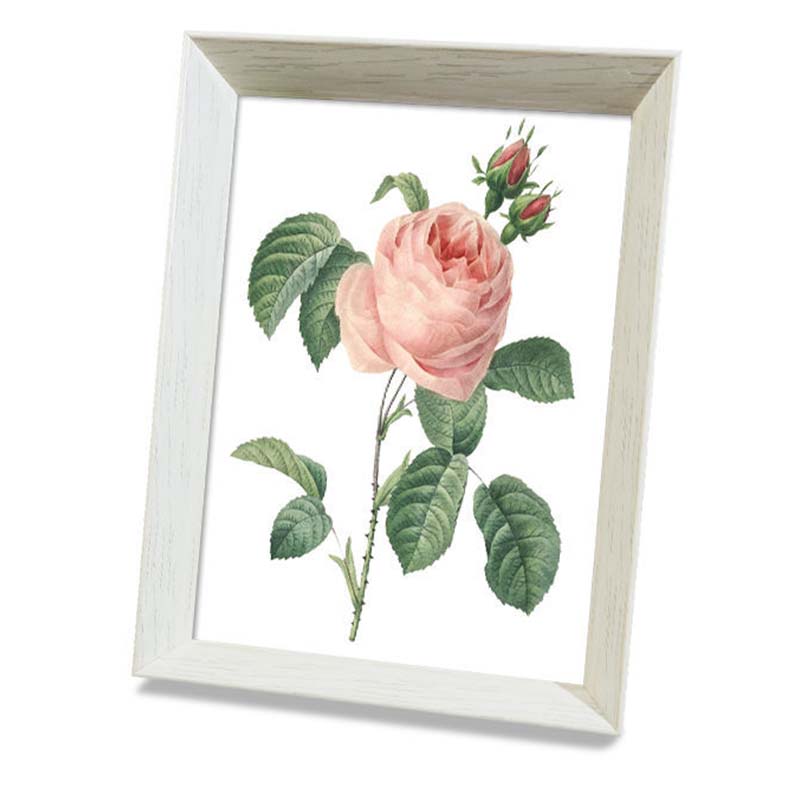 Framed Cross Stitch DIY Hand-woven Thread Embroidery Simple Modern Flower Simple Embroidery Living Room Bedroom Decoration