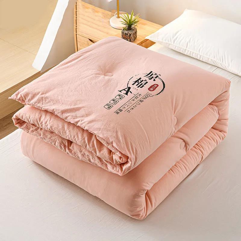 Skin-friendly Class A Antibacterial Soy Quilt Four Seasons Single Double Winter Quilt Core Spring and Autumn Was Taken By The Summer Dormitory