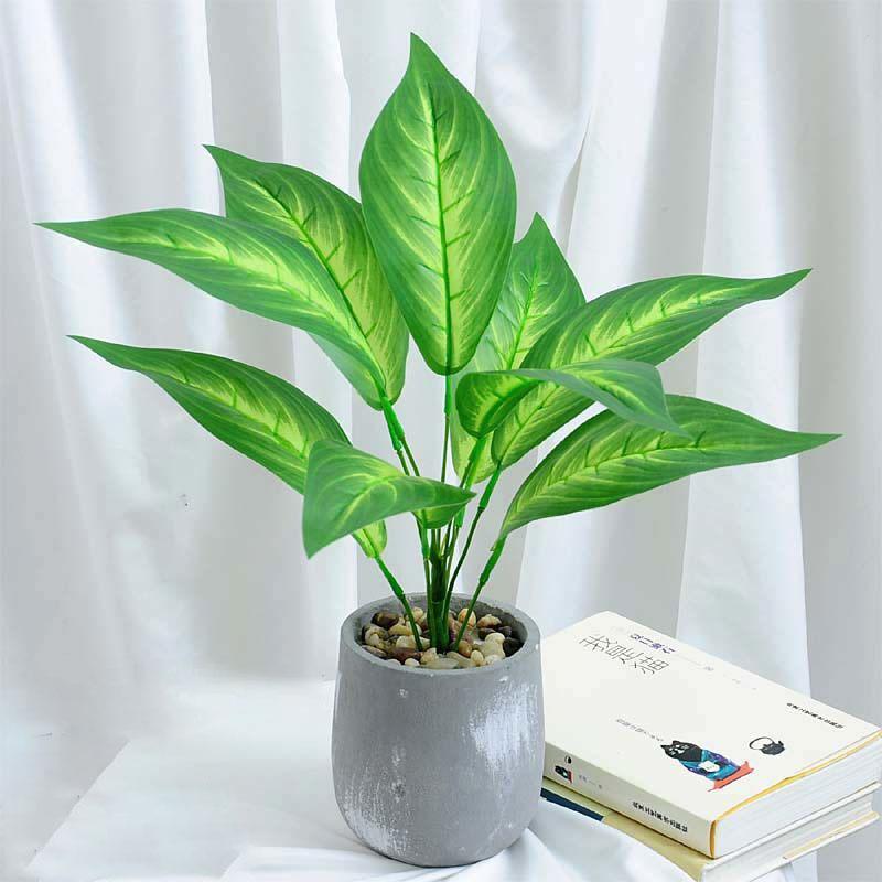 Nordic Wind Simulation Plant Bonsai Turtle Back Leaf Indoor Potted Desktop Artificial Flower Decoration Simulation Flower Green Plant Decoration