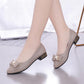 Spring and Summer Pumps Women's Pointed Toe Low-heeled Shoes Korean Style Thick-heeled Work Shoes