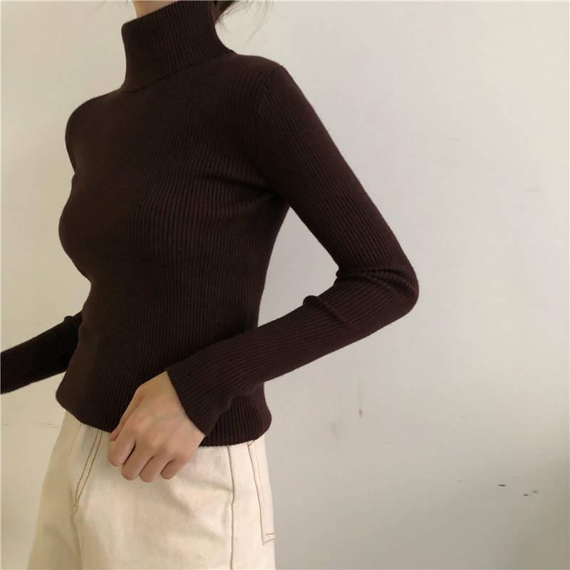 Autumn and Winter Turtleneck Thick Sweater Women's Loose Slim Long Sleeve Bottoming Shirt