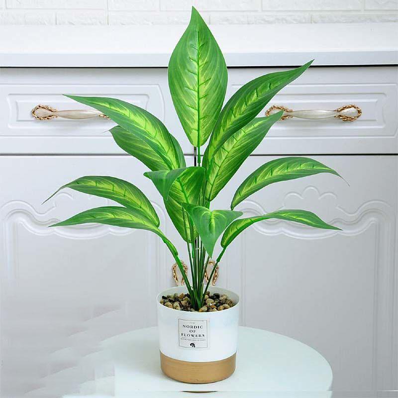 Nordic Wind Simulation Plant Bonsai Turtle Back Leaf Indoor Potted Desktop Artificial Flower Decoration Simulation Flower Green Plant Decoration