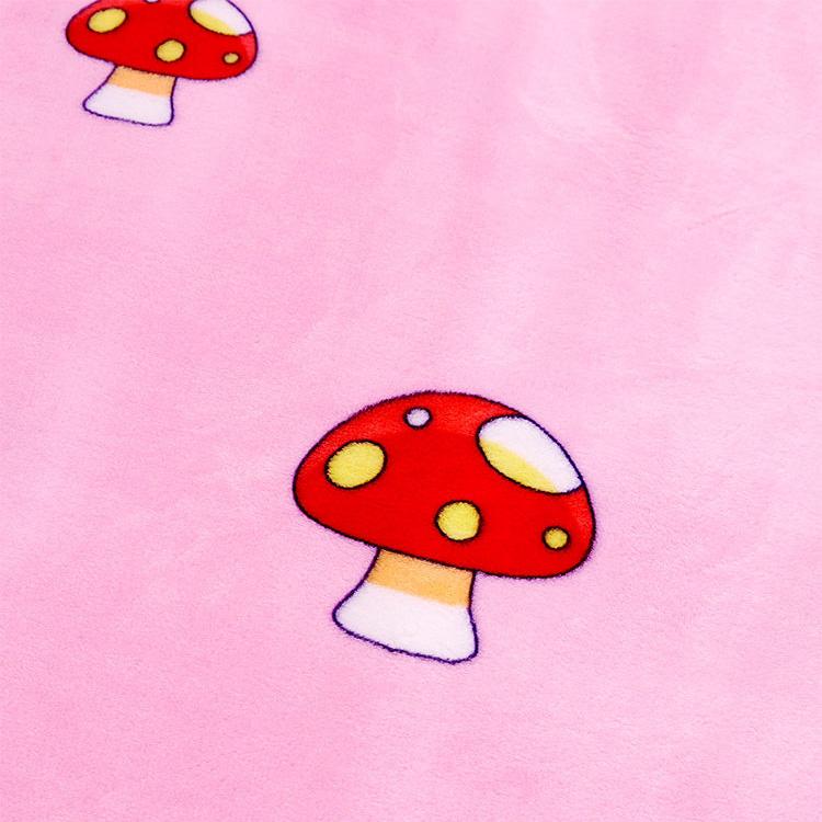 Winter Thick High-quality Double-sided Fleece Bed Sheet Flannel Blanket Coral Fleece Blanket Machine Washable