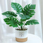 Nordic Wind Simulation Plant Bonsai Simulation Flower Green Plant Decoration Turtle Back Leaf Indoor Potted Desktop Artificial Flower Decoration