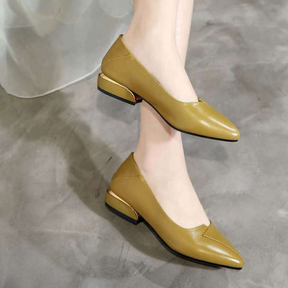 Thick-heeled Single Shoes Female Mother Shoes Flat Work Shoes Pointed Toe Women's Shoes Low-heel Pumps