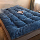 Winter Milk Velvet Mattress Household Sleeping Mat Bed Mattress Mat Double Dormitory Thickening Single Upholstery