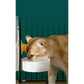 Suspended Automatic Feeder One-piece Pet Cat Food Cat Bowl Automatic Watering Dog Food Feeder Dog Food Bowl Dispenser