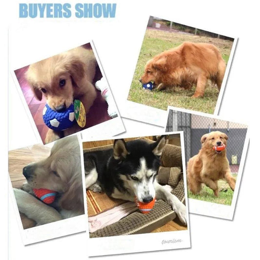 Cats Dogs Toys Bite-resistant Teething Sound Latex Ball Toy Dog Training Artifact Large and Small Dogs Relieve Boredom Vent Play Fun Chewing Toy