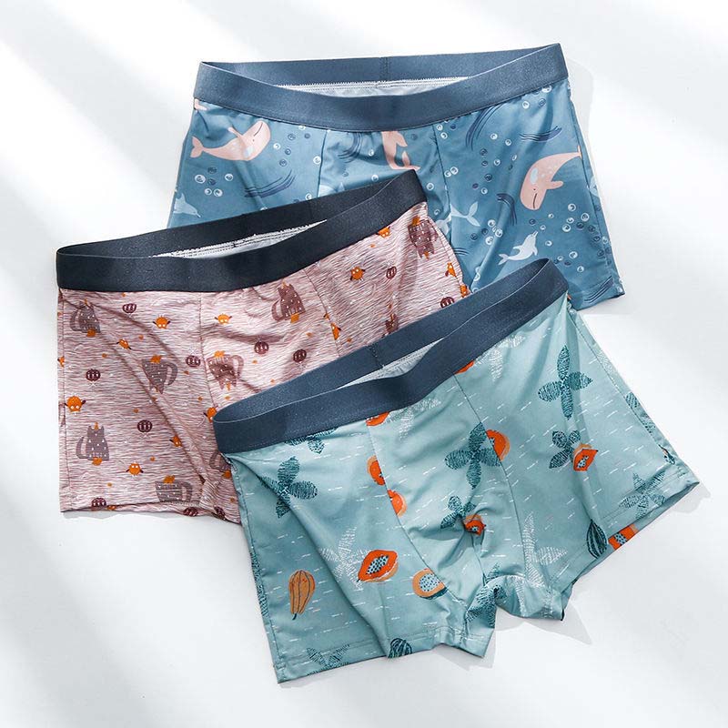 Summer Men's Underwear Ice Silk Trend Teen Personality Breathable Men's Shorts