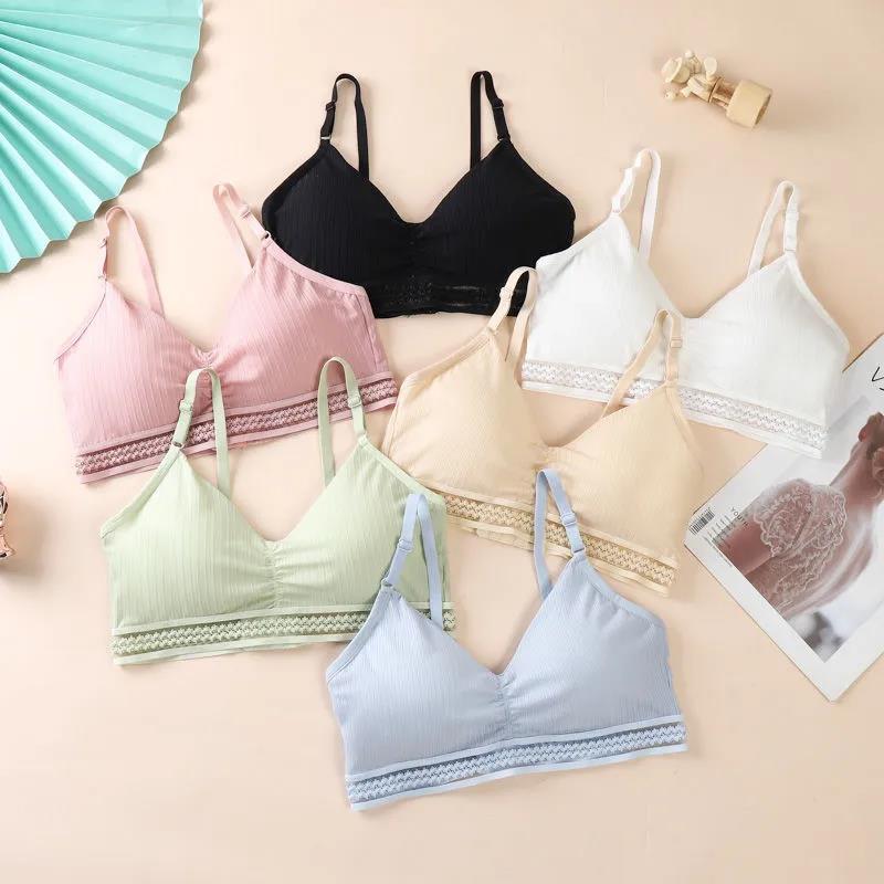 Spring and Summer Thin Ice Silk Lace Sexy No Steel Ring Wrapped Chest Beautiful Back Gathered Bottoming Women's Underwear Bra