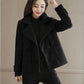 Woolen Jacket Women's Short Autumn and Winter Jacket Women's Solid Color Casual Coat