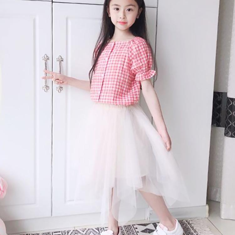 Autumn Spring Summer Casual Girls Summer Thin Mesh Skirt Korean Irregular Short Skirt Pleated Skirt Tutu Skirt