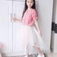 Autumn Spring Summer Casual Girls Summer Thin Mesh Skirt Korean Irregular Short Skirt Pleated Skirt Tutu Skirt