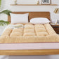 Thickening Plus Velvet Warmth Non-slip Folding Dormitory Mattress Household Sleeping Pad Quilt