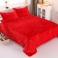 Winter Thick High-quality Double-sided Fleece Bed Sheet Flannel Blanket Coral Fleece Blanket Machine Washable