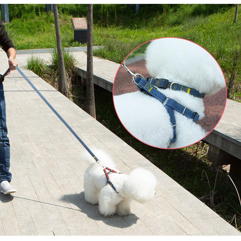 Pet SuppliesDog LeashesLarge Medium-sized Small DogsDog ChainsDog CollarsWalking Ropes