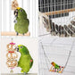 8 Pieces of Parrot Toy Swing Primary Color Wood Gnawing Molar Toy Bird Cage Pendant Supplies Climbing Ladder Rattan Ball