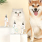 Cat Nail Clippers Pet Nail Clippers Dog Clip Nail Clippers Led Ilumination Blood Line Anti-scratch Artifact Novice Dedicated Pet Supplies