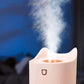 Air Humidifier Home Mute Bedroom Living Room Big Spun Air Conditioning Housing Mini Humidifier