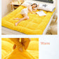 Winter Milk Velvet Mattress Household Sleeping Mat Bed Mattress Mat Double Dormitory Thickening Single Upholstery