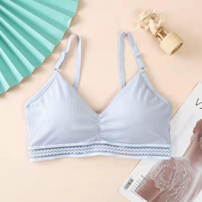 Spring and Summer Thin Ice Silk Lace Sexy No Steel Ring Wrapped Chest Beautiful Back Gathered Bottoming Women's Underwear Bra