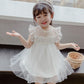 Girls Fluffy Cake Dresses Mesh Skirt Embroidery Ruffle Kids Christmas Party Costume Birthday Tutu Gown Children Clothing