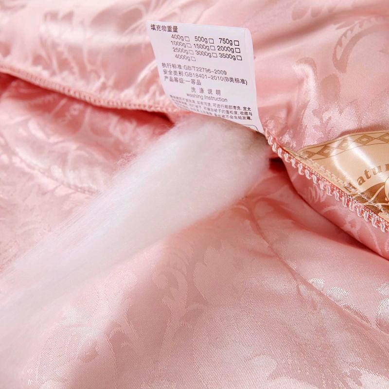 Silk Quilt 100% Mulberry Silk Cotton Quilt Winter Thickening Dormitory Single Warm Winter Quilt Core Double Air-conditioned Quilt