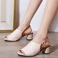 Sandals Women's Summer Fashion Outer Wear One-word Buckle High-heeled Fashion All-match Thick-heeled Fish Mouth Open-toe Women's Shoes