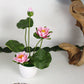 Artificial Lotus Artificial Flowers Decorative Flowers for Home Decoration