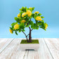 Artificial Plastic Flower Potted Plants Fake Flowers Fortune Tree Living Room Wine Cabinet Desktop Desk Desk Decoration Craft