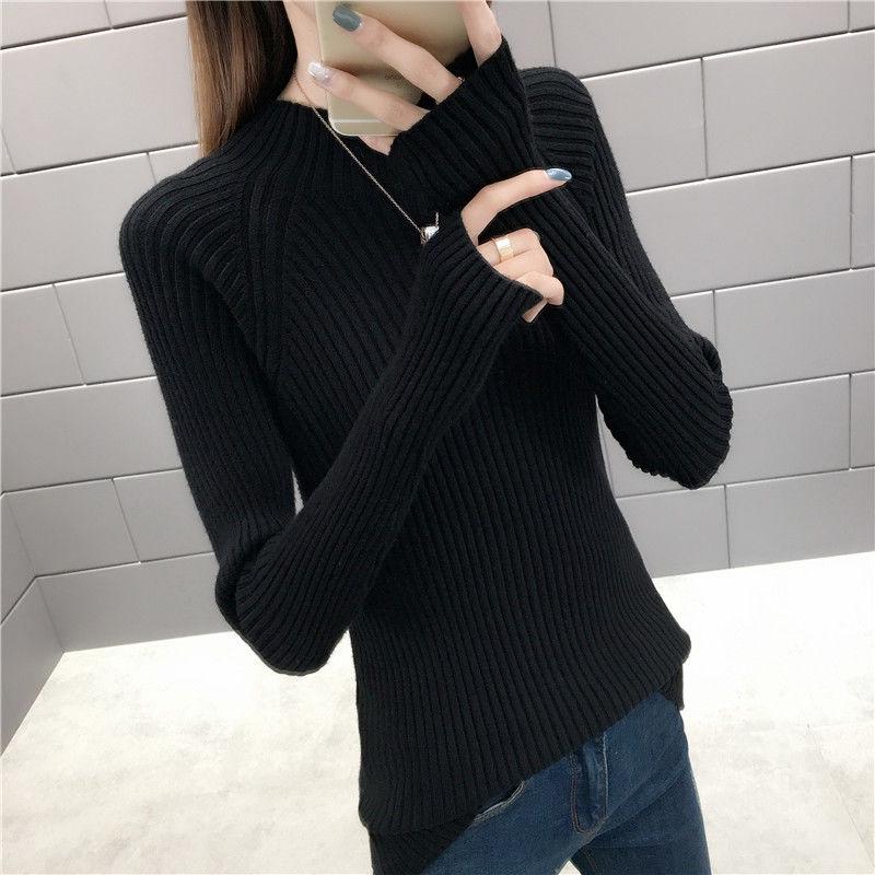 Long Sleeve Autumn Winter Sweater Women Knitted Sweaters Pullover Jumper Fashion Turtleneck Sweater