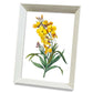 Framed Cross Stitch DIY Hand-woven Thread Embroidery Simple Modern Flower Simple Embroidery Living Room Bedroom Decoration